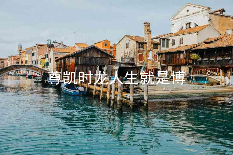 尊凯时龙人生就是博
