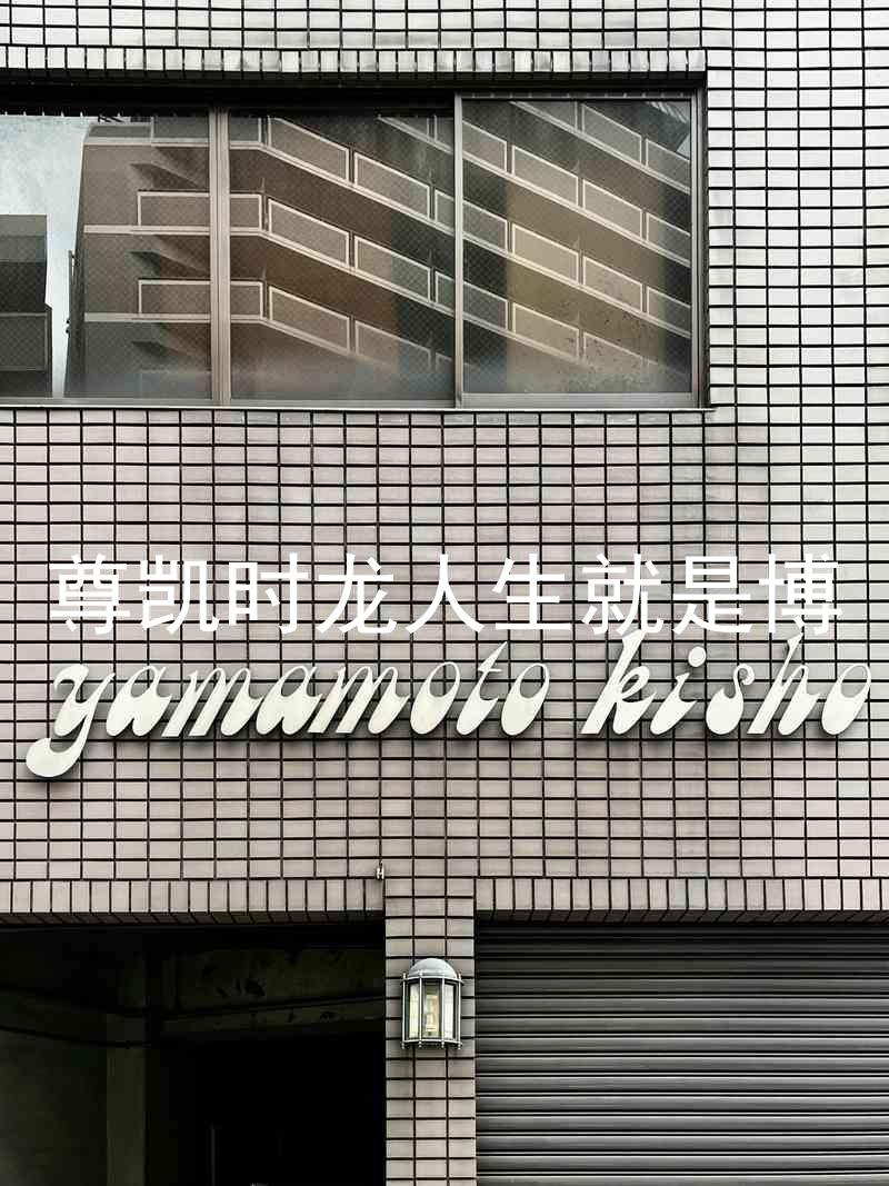 尊凯时龙人生就是博