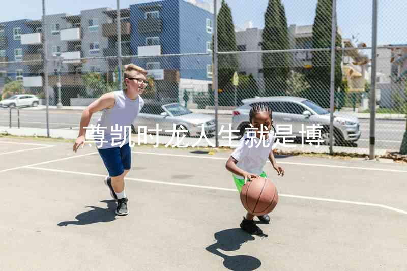 尊凯时龙人生就是博