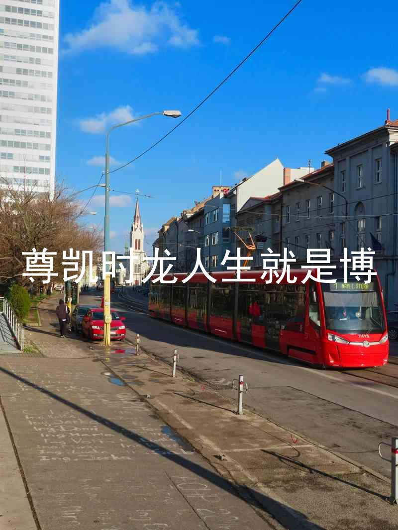 尊凯时龙人生就是博