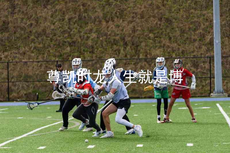 尊凯时龙人生就是博