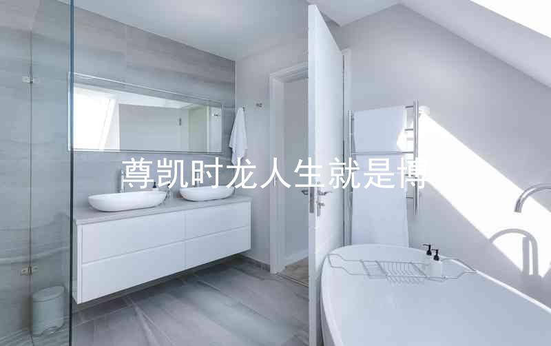 尊凯时龙人生就是博